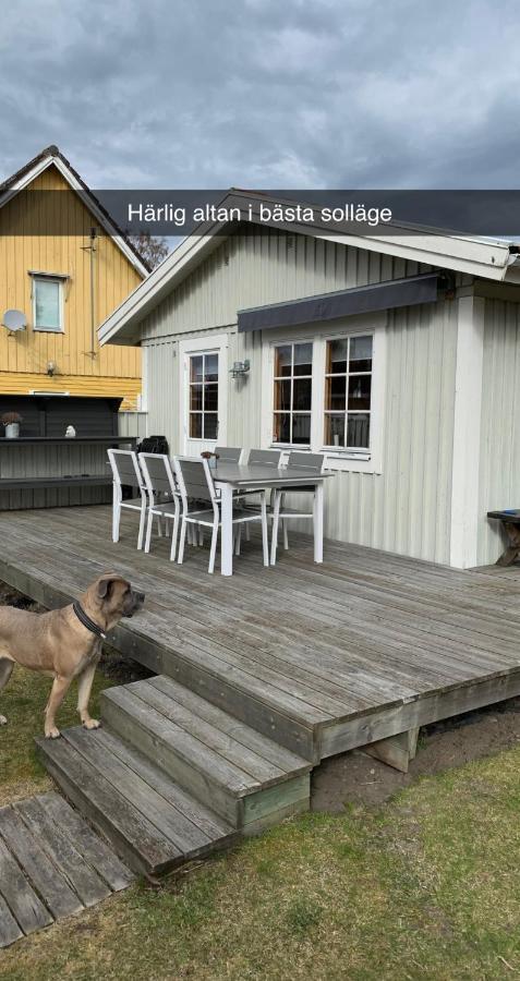 Villa Sus & Dus Yngsjö Exterior foto