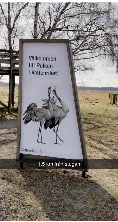 Villa Sus & Dus Yngsjö Exterior foto